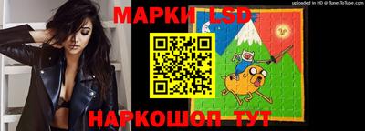 spice Кингисепп