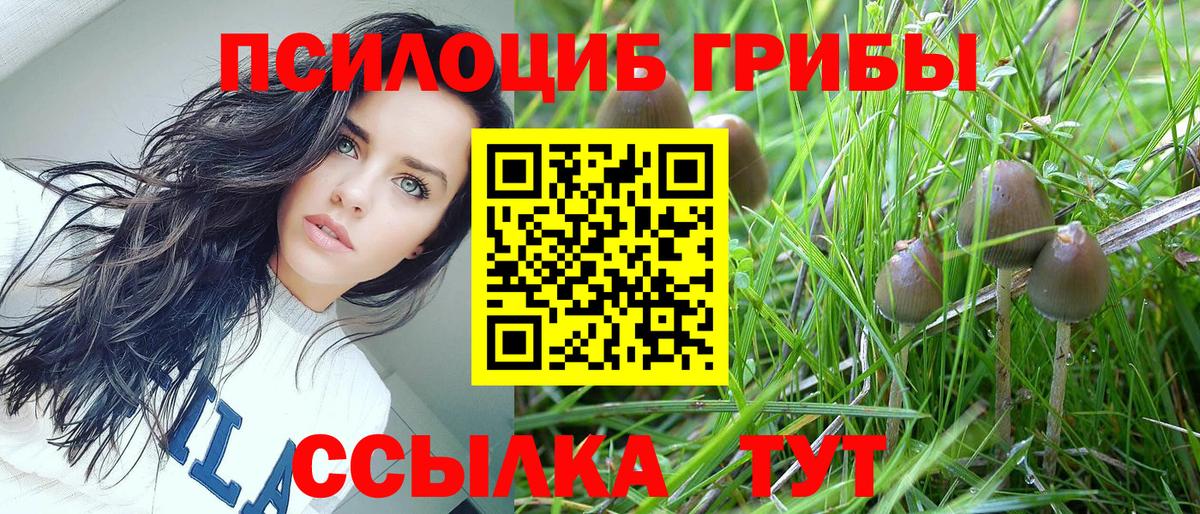 Галлюциногенные грибы Cubensis  Псилоцибиновые грибы ЛСД  Якутск  Вход с VPN 